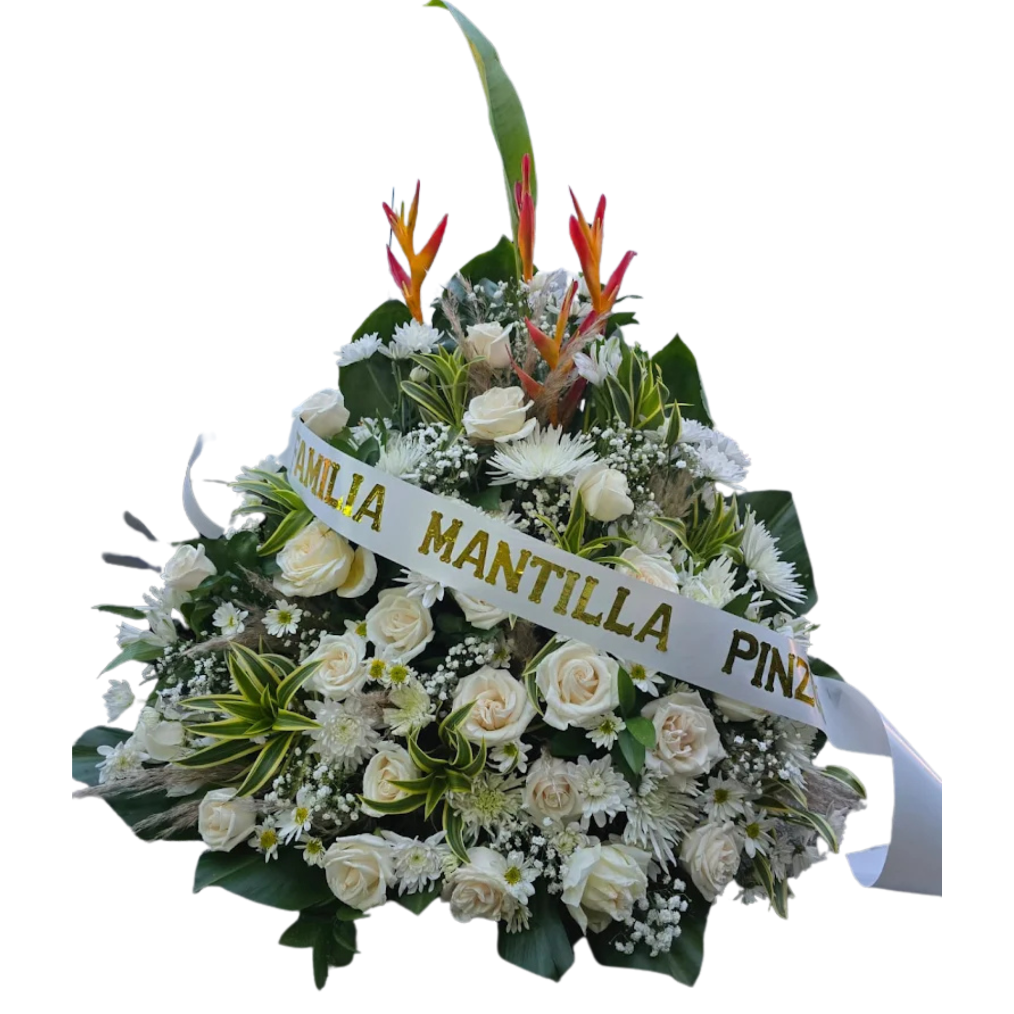 Fúnebre # Y60