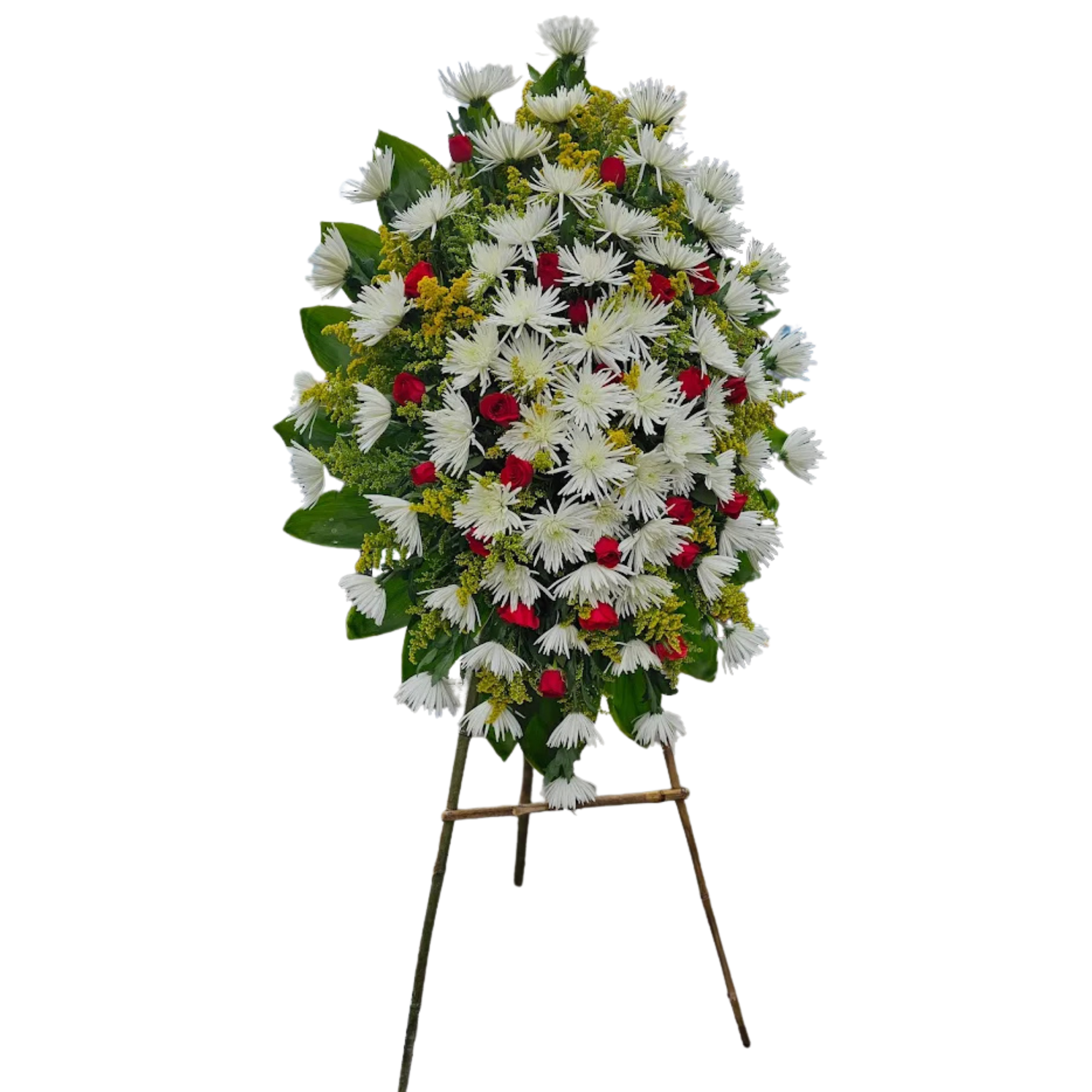 Fúnebre # Y55