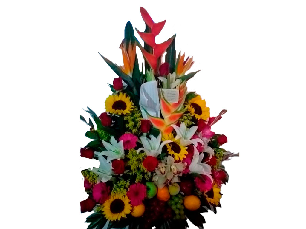 Ramo Y047